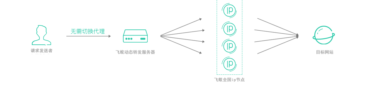 爬虫为什么要使用动态转发代理IP？