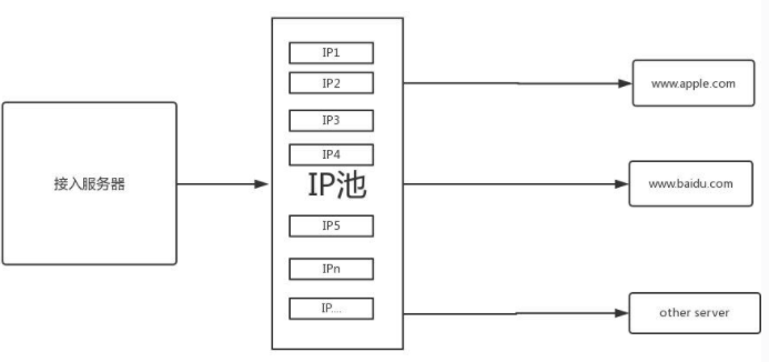 什么是动态代理ip？跟普通代理ip有什么区别？